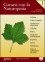 Curarsi con la Naturopatia - Vol. 1 (eBook)