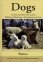 Dogs (con DVD Incluso)