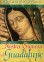 Nostra Signora di Guadalupe