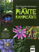 Piante Rampicanti