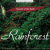 Rainforest